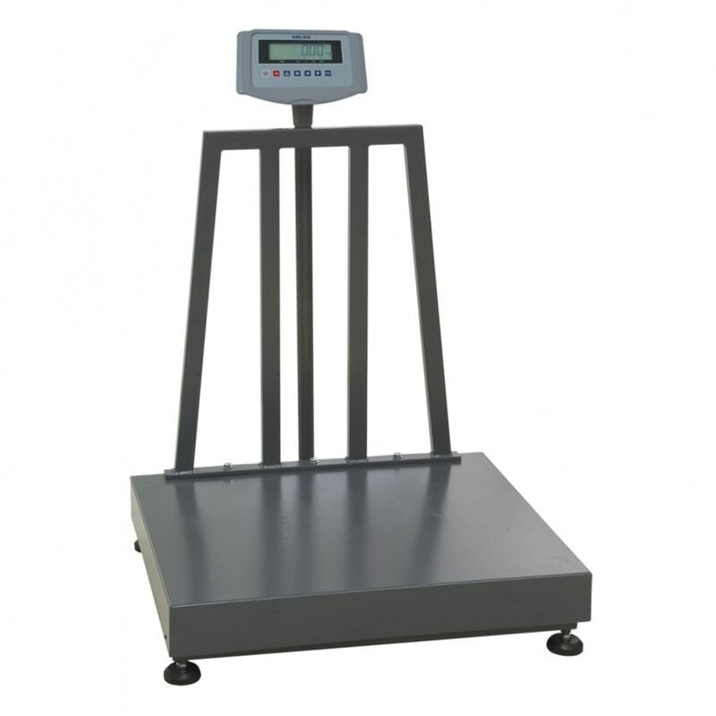 Seles BW Onaylı 300 Kilogram Tartım Baskülü 60x70 Cm