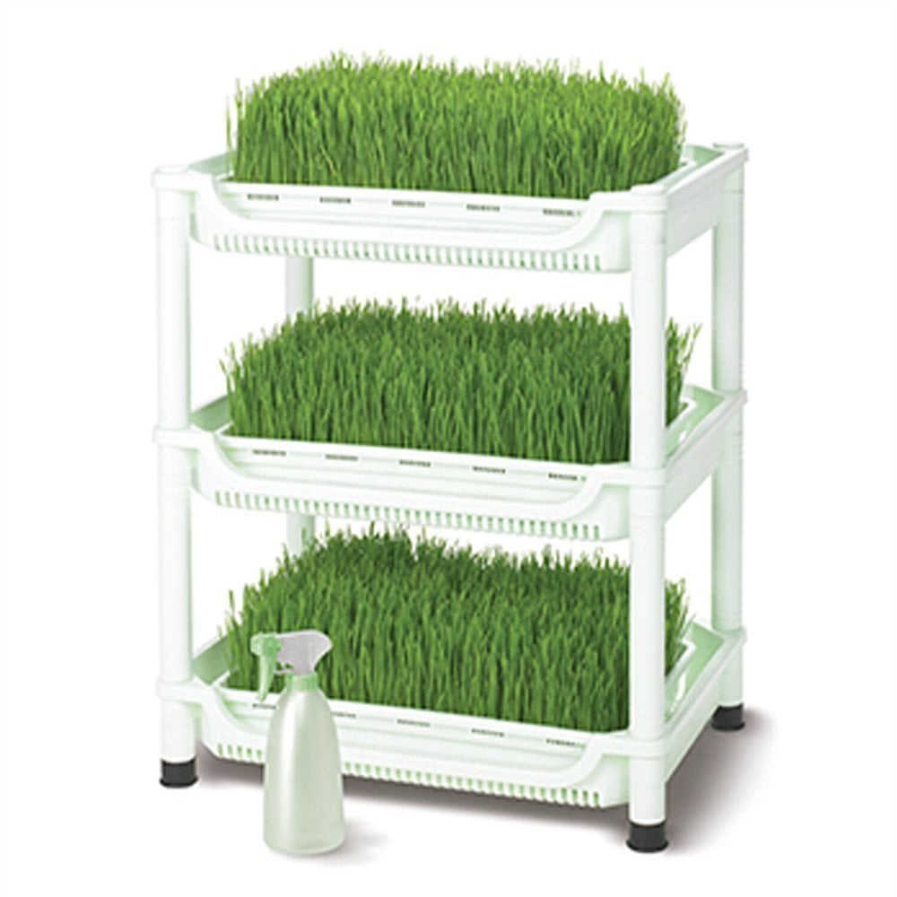 Tribest Sproutman'S Topraksız Buğday Çimi Yetiştiricisi