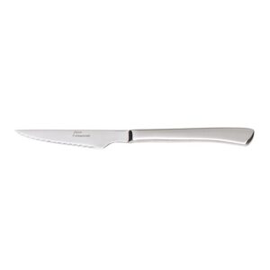 Zicco ZB-01 Çelik Saplı Steak Bıçağı 22 cm